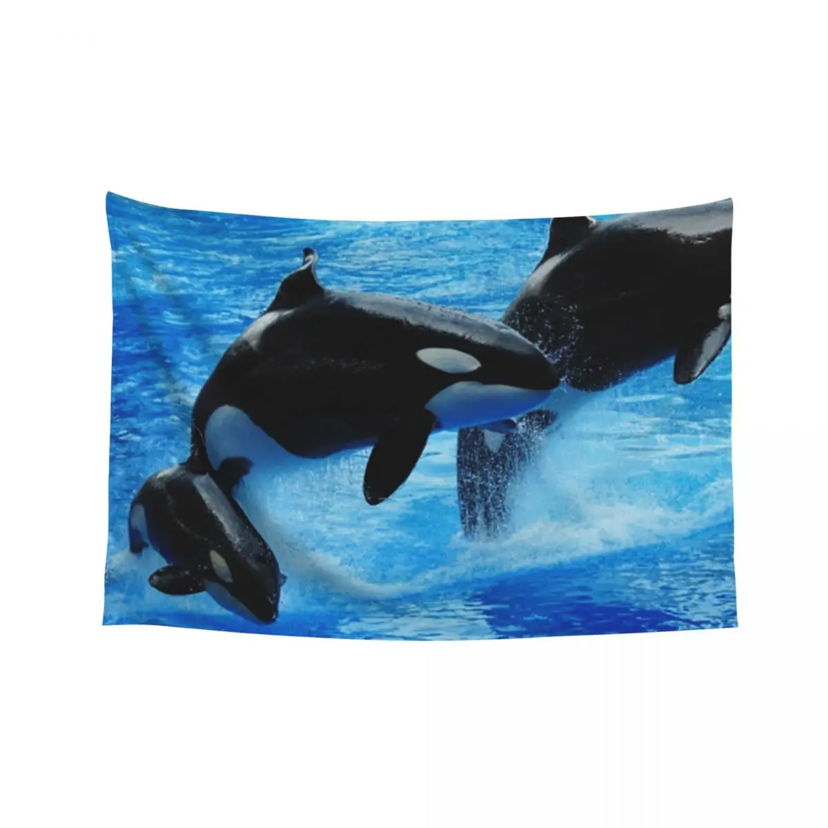 

Killer whale orca jumping Tapestry Bedroom Decor Room Decore Aesthetic Room Aesthetic Decor Outdoor Decor Tapestry