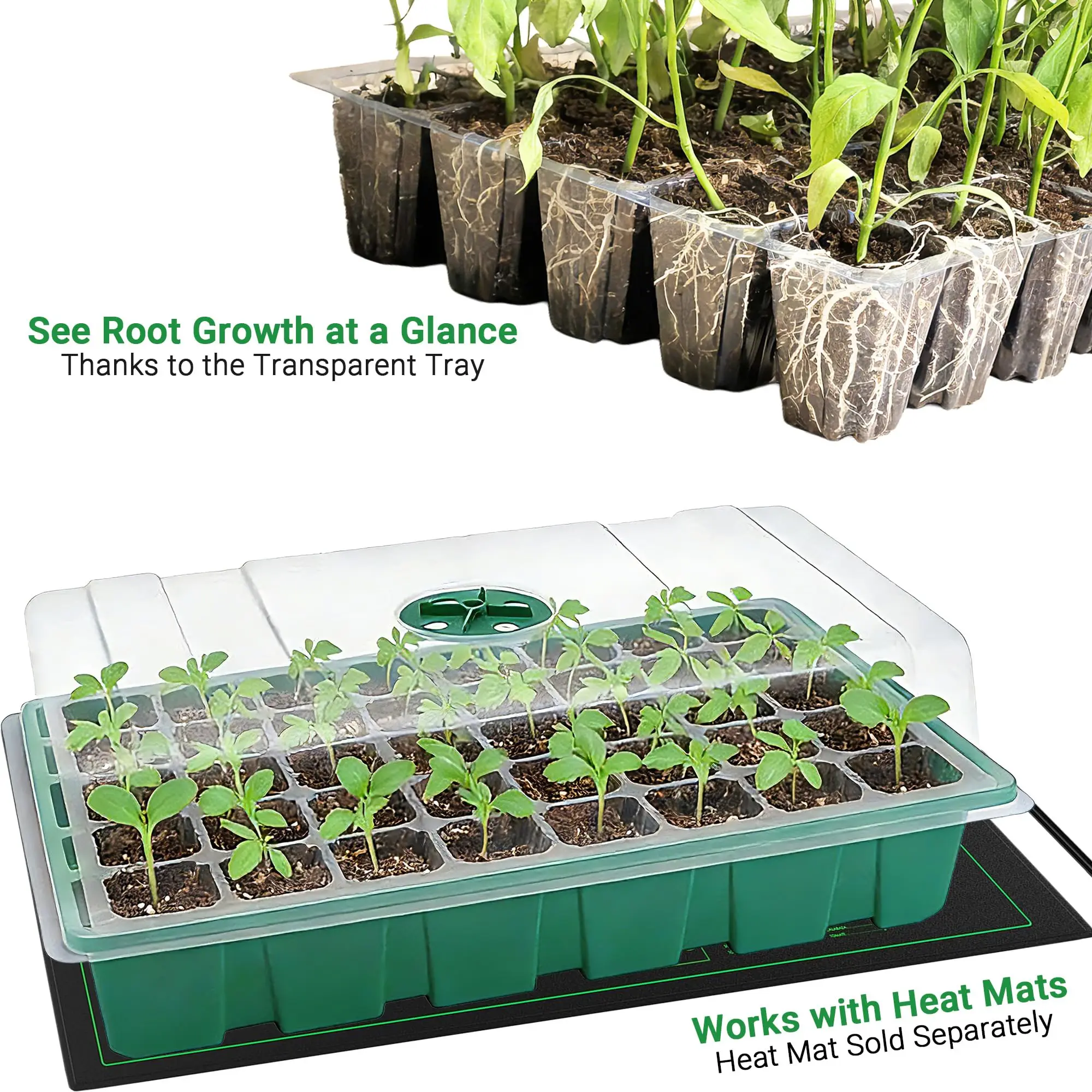 With Transparent Cover Greenhouse And 3 pcs Seed Tray, 40 Holes Cell Propagator Growth Thickening Seedling Start Growth Tray - view 4