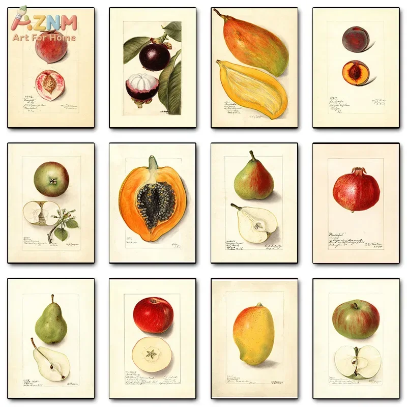 AZNM Vintage Fruit Botanical Canvas Print, Retro Tropical Fruit Peach Mango Pear Illustration Unframed Canvas Painting, Kitchen