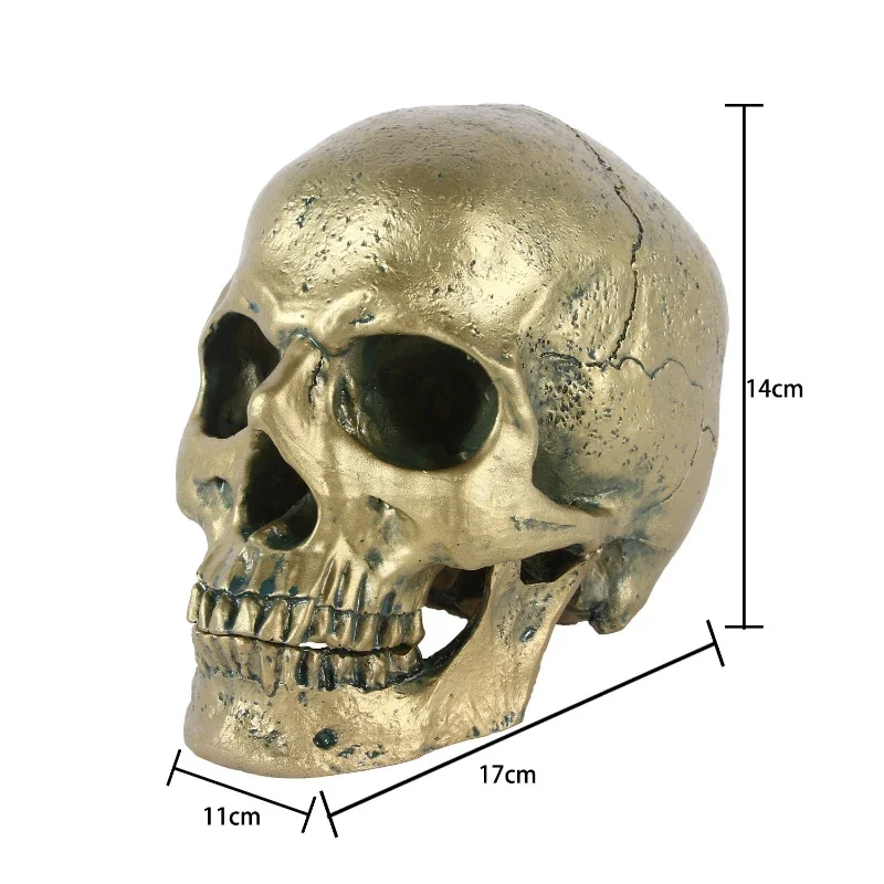 1:1 Human Skull Model High Precision Teaching Tools Resin Skull Skull Halloween Gift