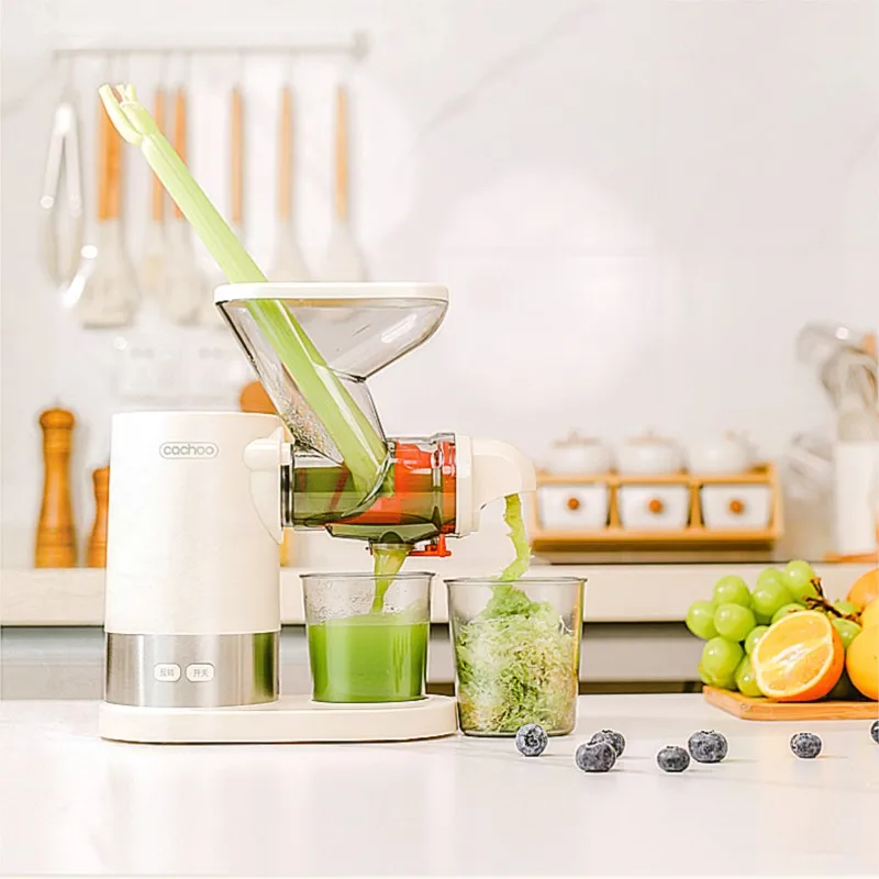 

Cold Press Juicer Slow Juicer Multifunction Fruit Vegetable Screw Extractor Automatic Squeezer Citrus Juicer Portable Blender