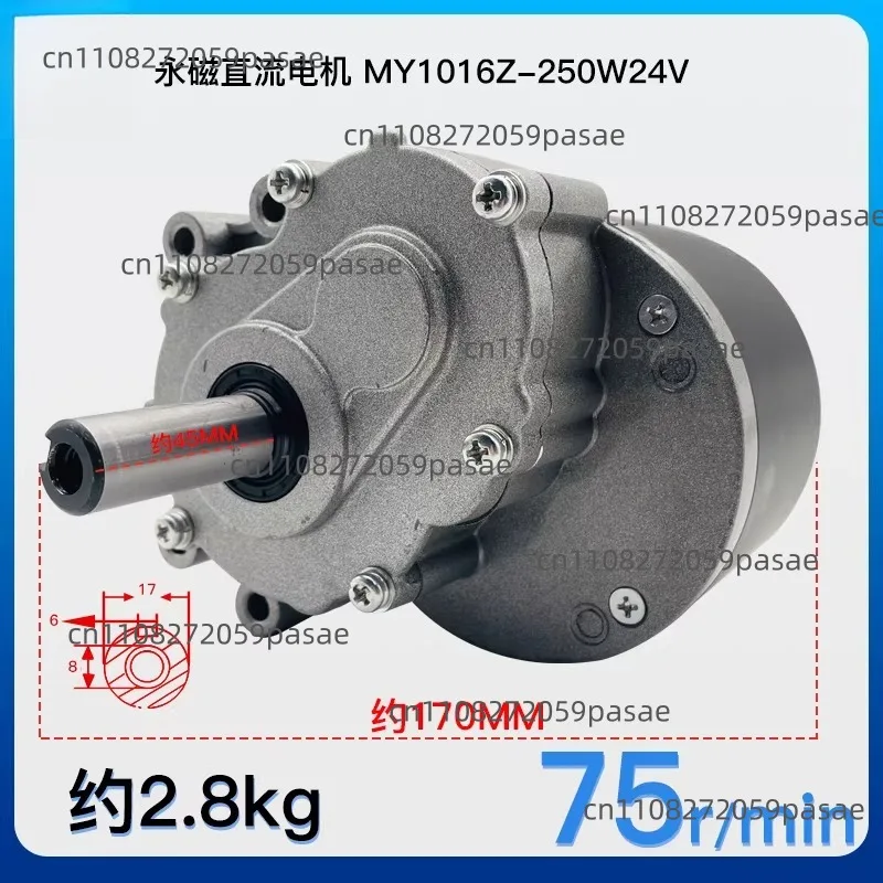 DC Brushed Low-speed Two-stage Reduction Electric Motor 24V 250W Wheelchair Motor 120/75 Rpm