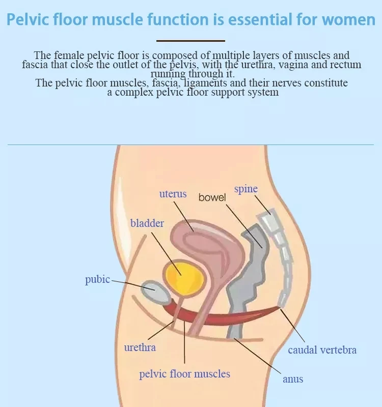 EMSlim Pelvic Floor Muscle Postpartum Muscle Training Prostate treatment Massage Chair Machine Urinary Incontinence butt lift