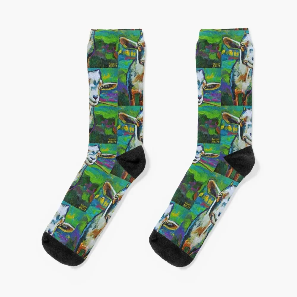 

Theodore the Goat Socks sheer happy set bright garter Luxury Woman Socks Men's