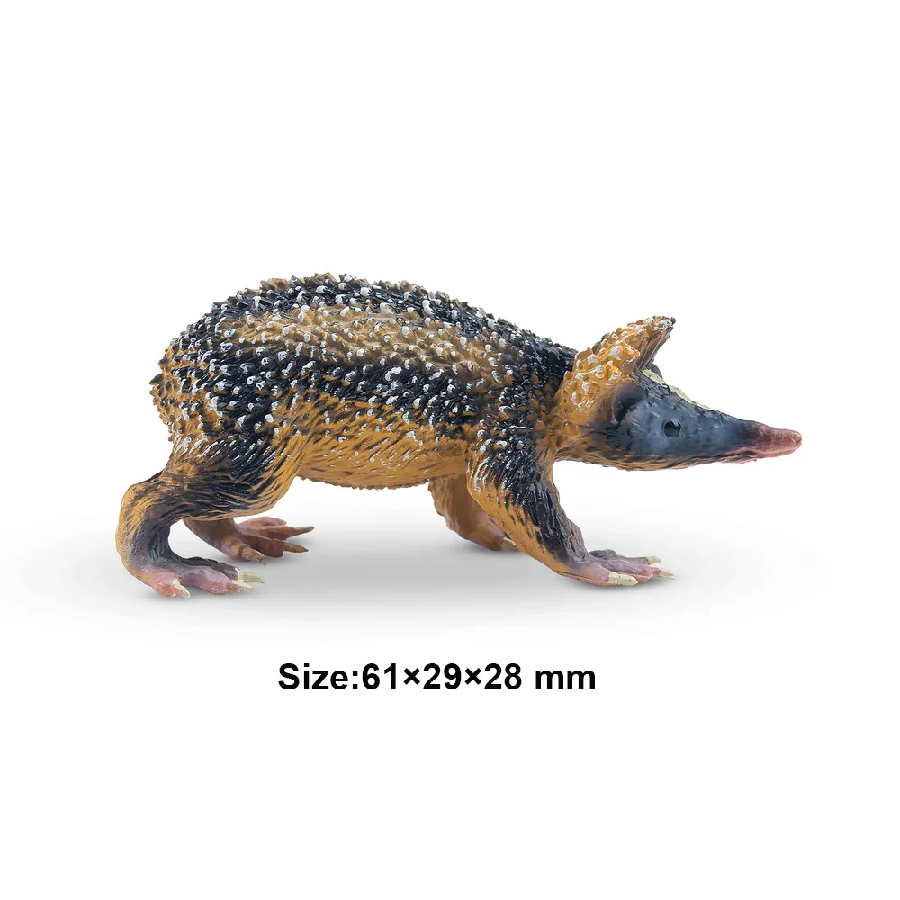 Toymany محاكاة لولاند مخطط Tenrec مدغشقر نماذج للحيوانات لعبة شخصيات صغيرة دمى عمل التماثيل لعبة الأطفال Gife Cak