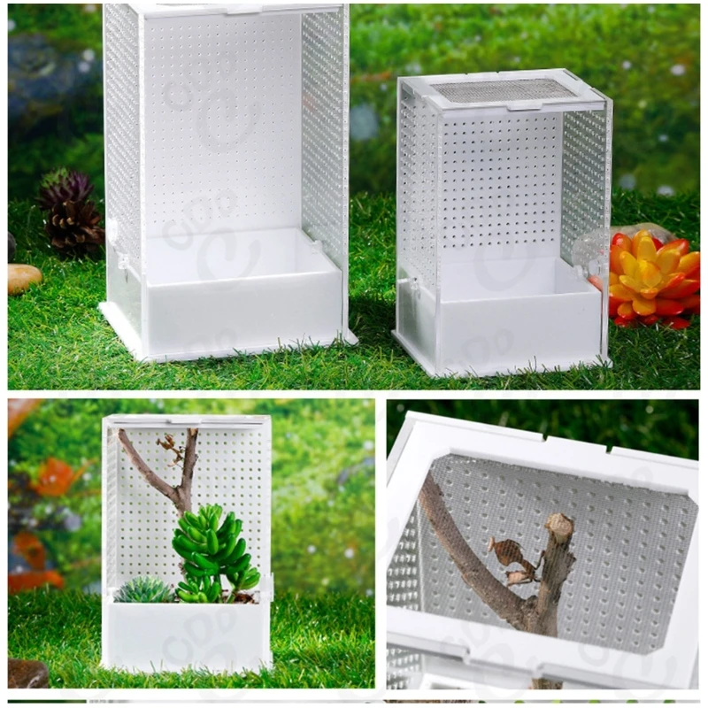 Mini caja cría reptiles acrílico insecto serpiente tortuga Mini casa insectos