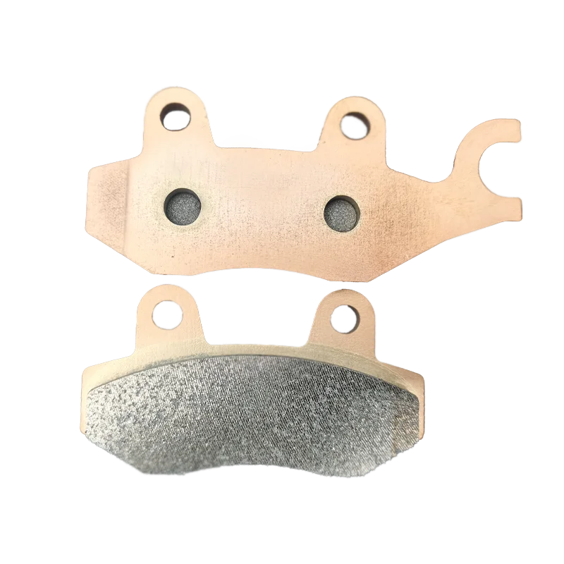 Copper Sintering Front Rear Brake Pads for TRIUMPH Tiger 1200 XR XRx XRt Xca XCx 2018-2020 Tiger Explorer XC XRt 2016-2021