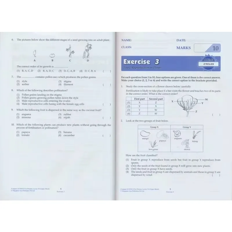 8 Volumes of Genuine SAP Learning/conquering Science Primary School Grades 1-6 Basic Improvement Version of English TextbooksBoo
