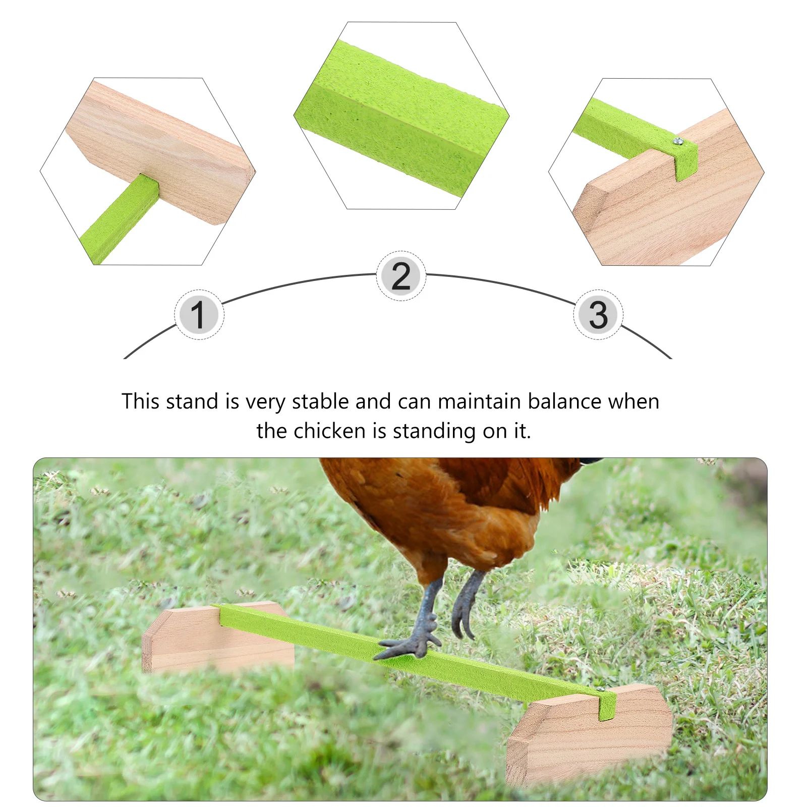

Parrot Stand Chicken Wood Perch for Adult Hens Frame Bird Play Training