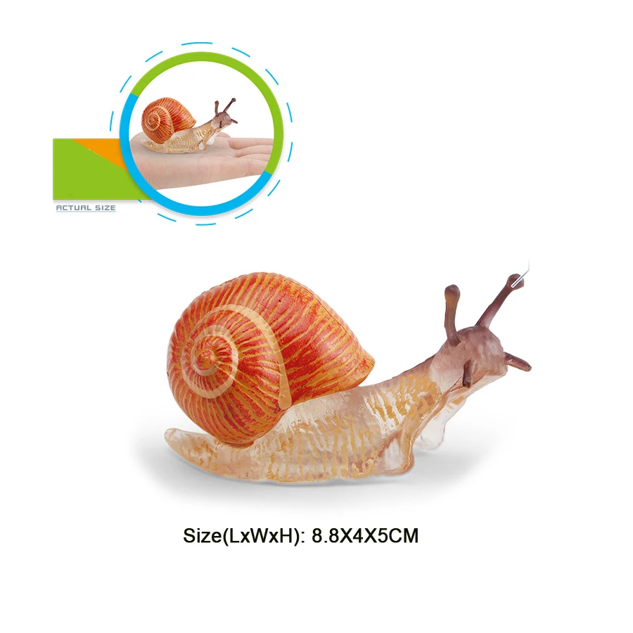 Realistischer Lebenszyklus einer Schnecke, Modellfigur, Schneckenfigur, Partyzubehör, Kuchendeckel, Tischdekoration, Sammlungsspielzeug