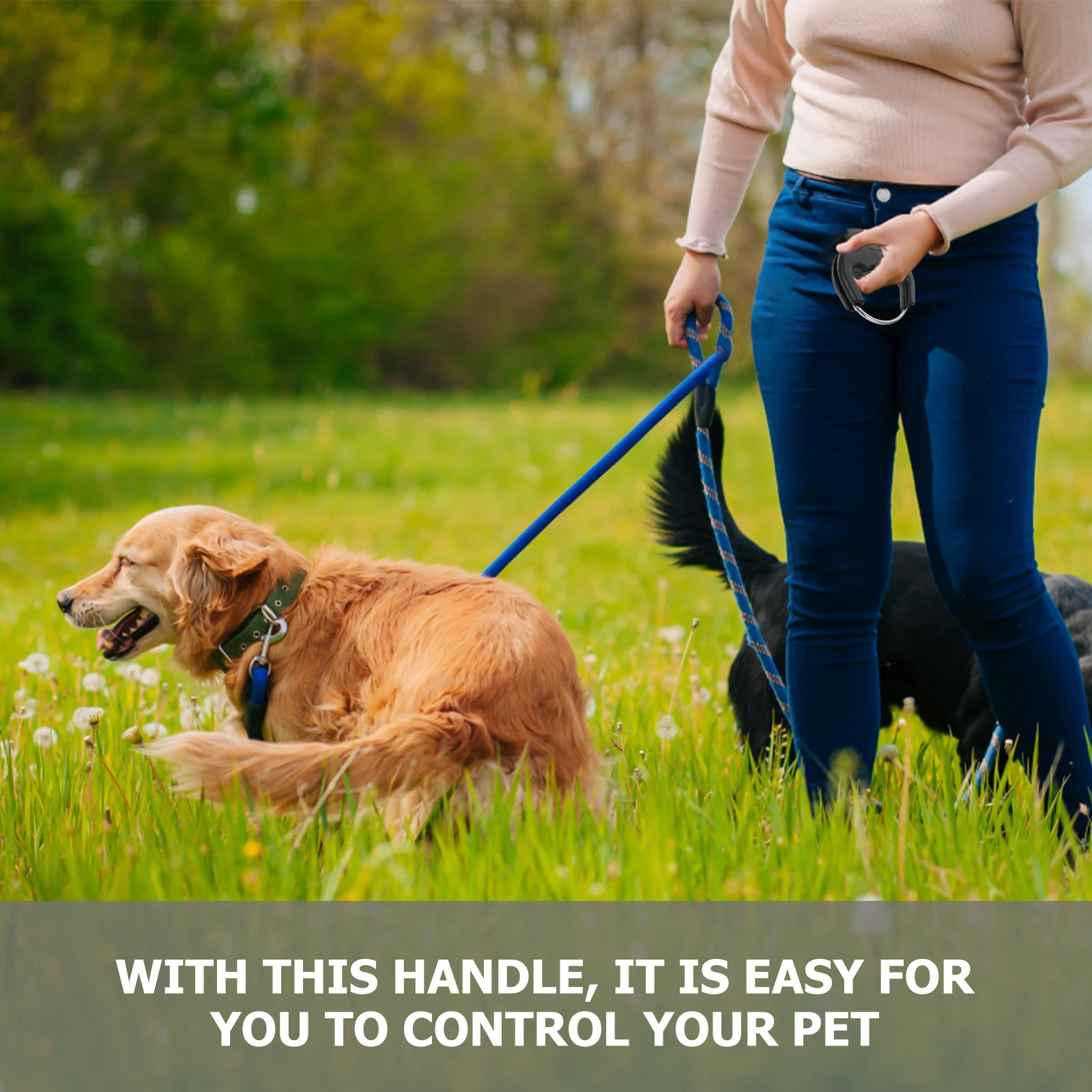 

3 Pcs Rubber Handle Dog Leash Pet Training Chain Grip Walking Rope Outdoor for Jogging Hiking Pet Supplies