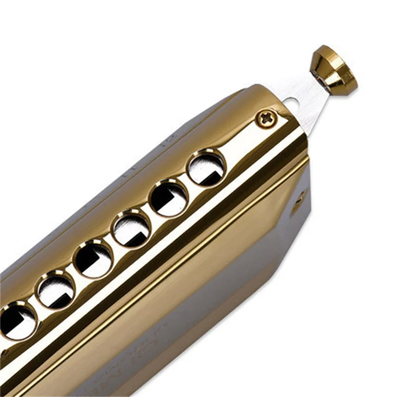 12-Hole 48-Tone Chromatic Harmonica Golden Mouthpiece Round Embouchure Professional Musical Instrument