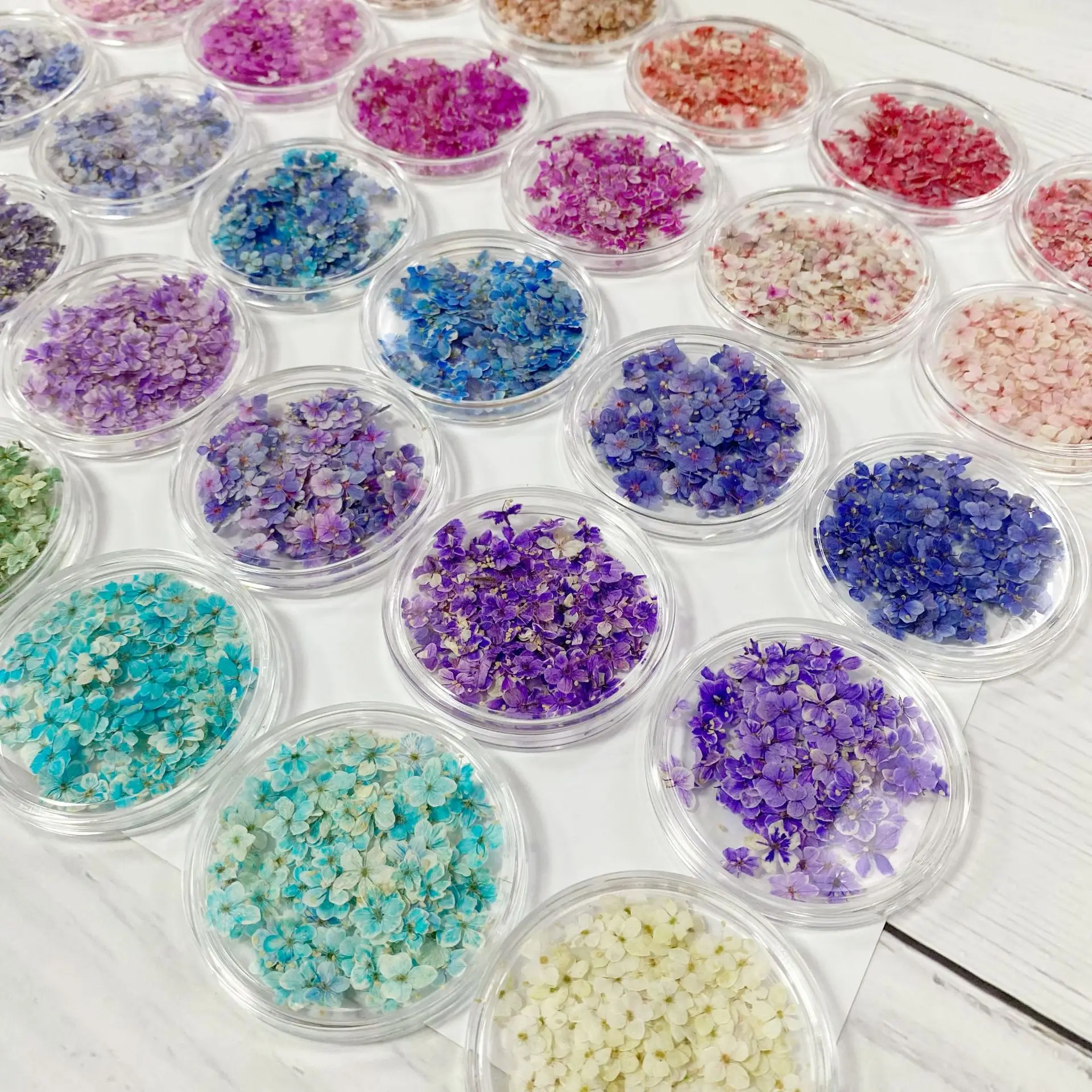 Thumbnail 4 - #11 Trending Dried Flowers Right Now