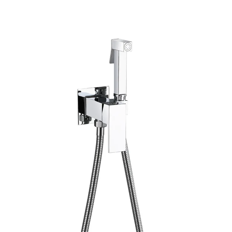 مجموعة رذاذ بيديت ساخنة وباردة مخفية على الحائط