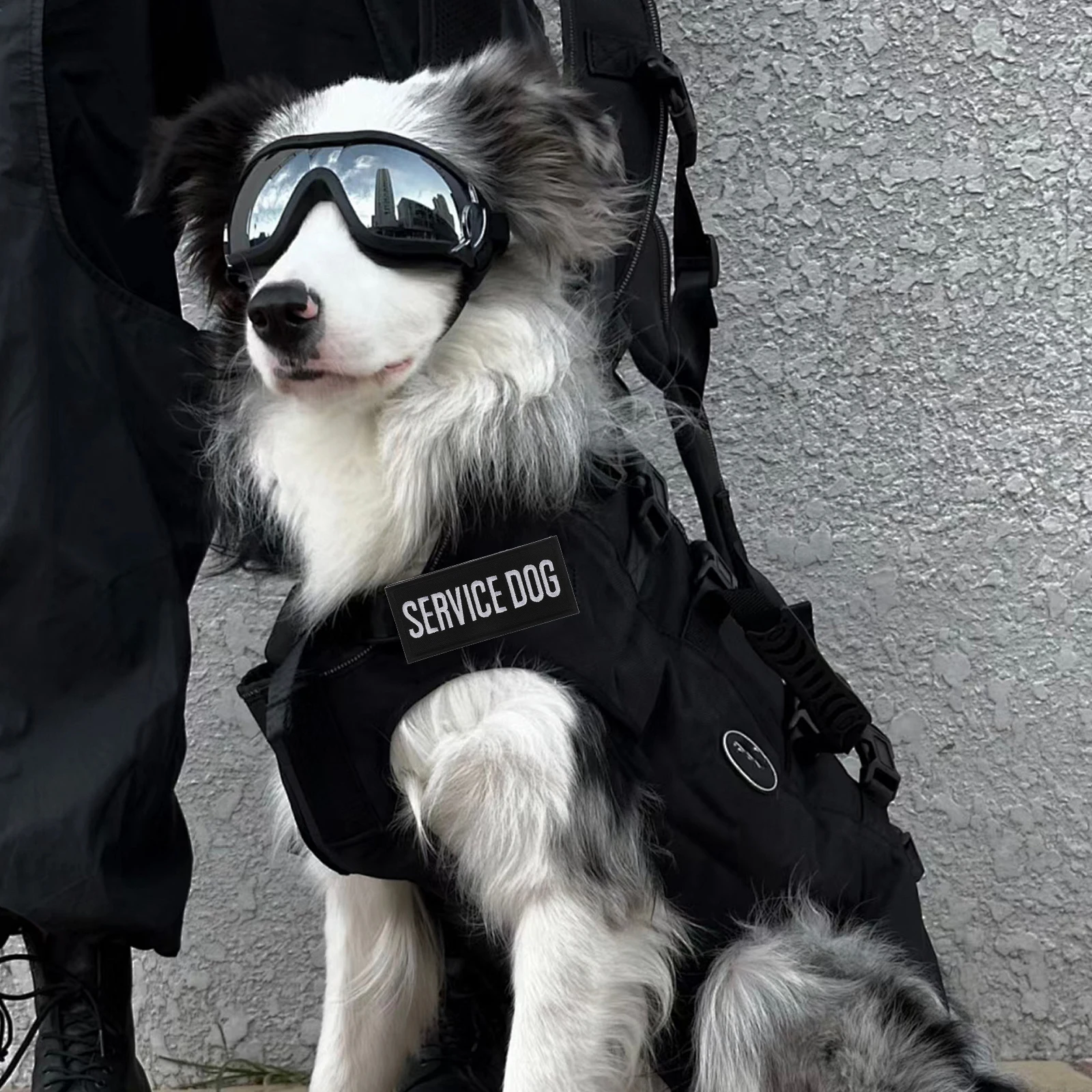 

2pcs Service Repair Patches For Cloth Harness Embroidered Patch Polyester Crown Soft Versatile Sizes Training Walking Travel