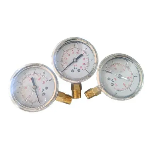60Mm Radial Seismic Pressure Gauge 0-16/10/6bar Thread 2 Points Double Scale Hydraulic Pressure Gauge