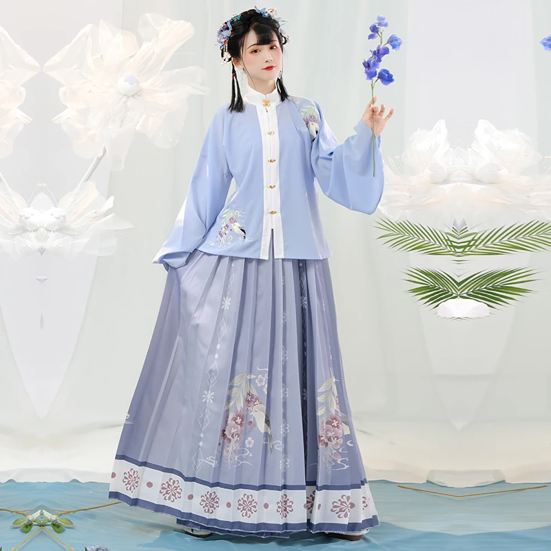 Hanfu Ming – vêtements traditionnels chinois de la dynastie pour femmes, jupe plissée à col montant, tenue brodée, vêtements anciens, 2 pièces