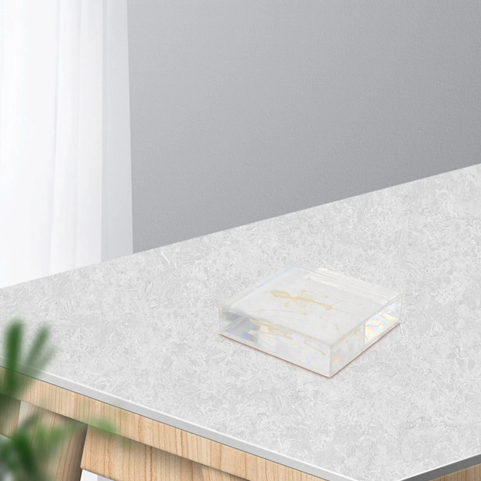 コウモリの展示：科学教室の装飾、教育、研究、家の装飾用に手作りされた本物の動物標本 ミニ