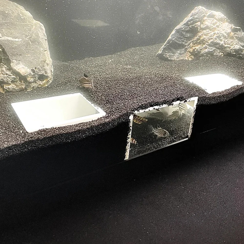 

Aquarium Cave Bottom Dweller Aquarium Underground Cave Aquarium Aquascape Hideout Cave Fish Tank Decorations Accessories