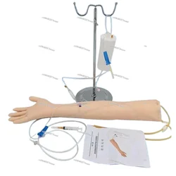 Anatomical Phlebotomy Practice Arm, Medical Simulator, Medical Simulator, Anatomy Training Kit, New Life Size