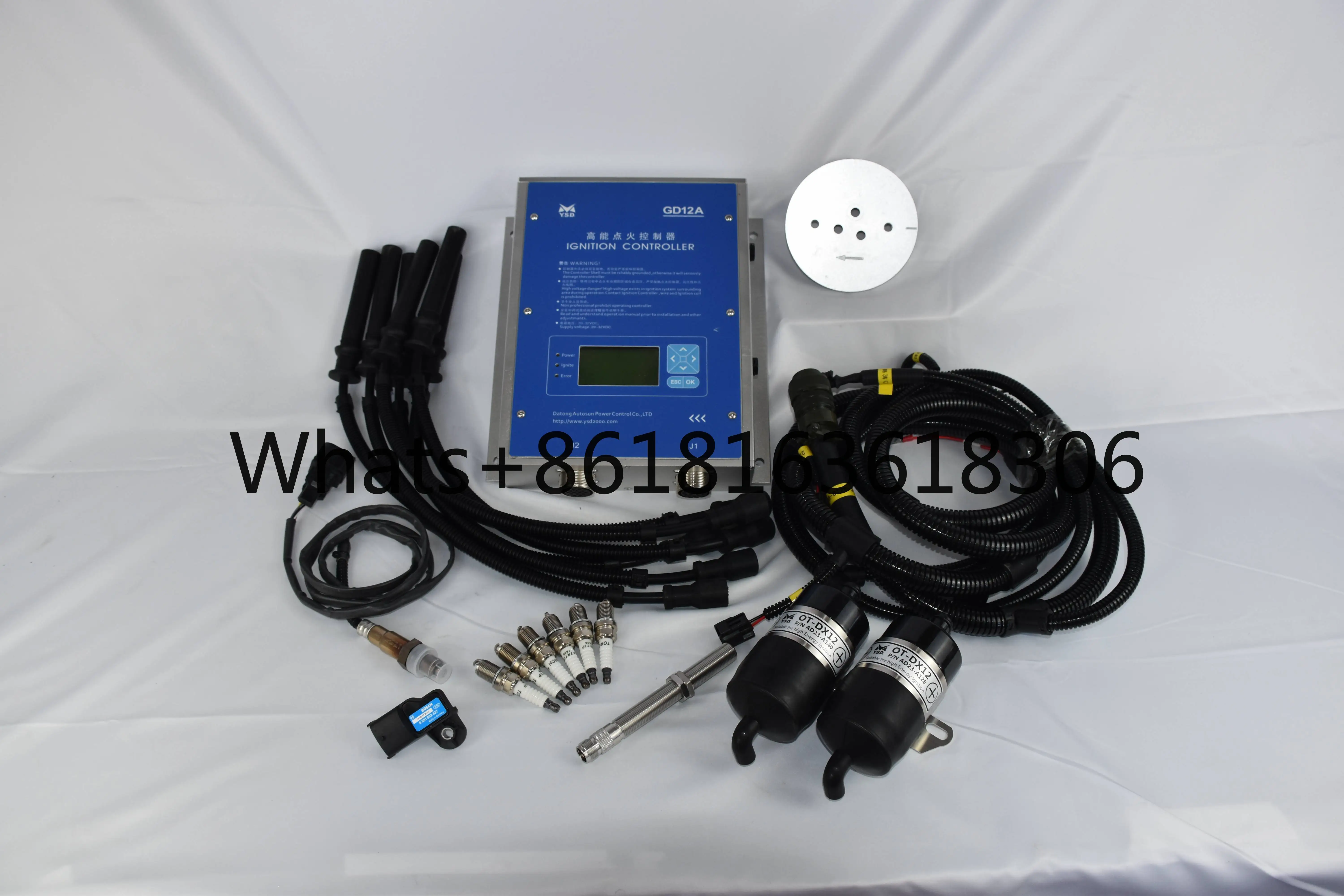 Ignition controller Gas genset Bigas engine generator ignition control