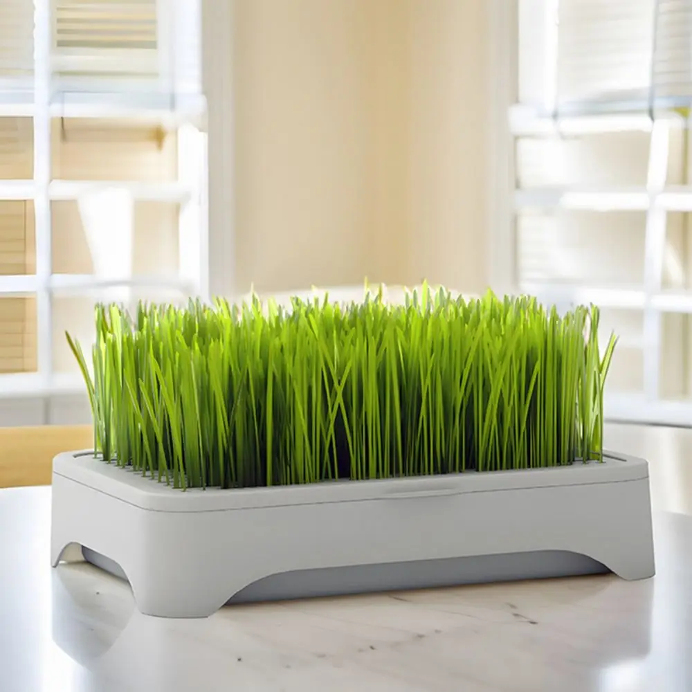 Plastic Hydroponic Seeding Tray Self-planted Multi-functional Cat Grass Nursery Pot Reusable Growth Planter Garden Supplies