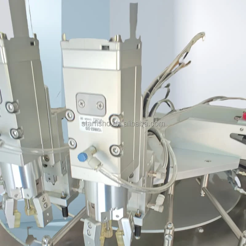 Automatic Double Head Cooking Oil Honey Tomato Sauce Bag Filling Detergent Washing Water Liquid Juice Filling Of Capping Machine