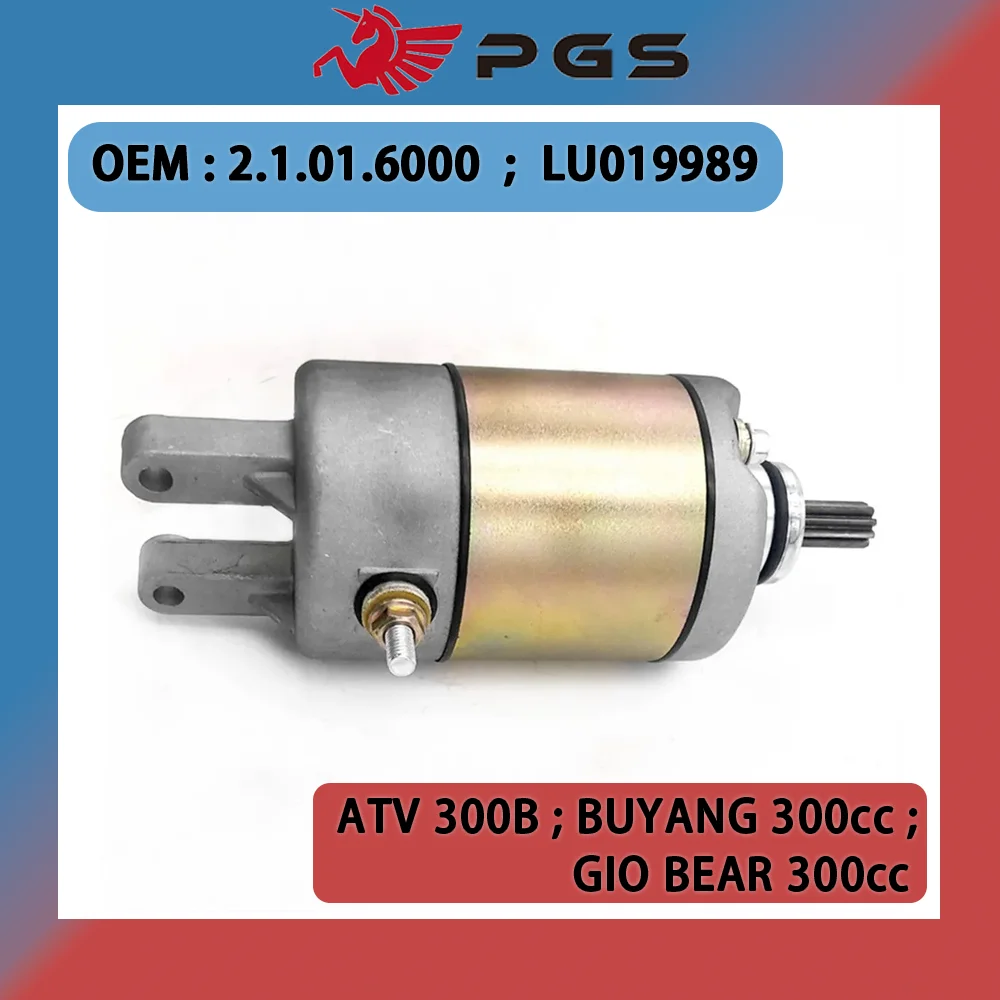 

PGS 1B7-81890-00 Starter Motor Compatible Aprilia Leonardo 300 250 Benelli Velvet 250 LC Touring 4HC-81800-00 4HC-81890-00 YP250