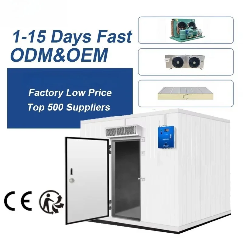 Customized -18°C 20T Walk In Cold Storage Room Industrial Refrigeration Equipment For Large Batch Meat Frozen Preservation
