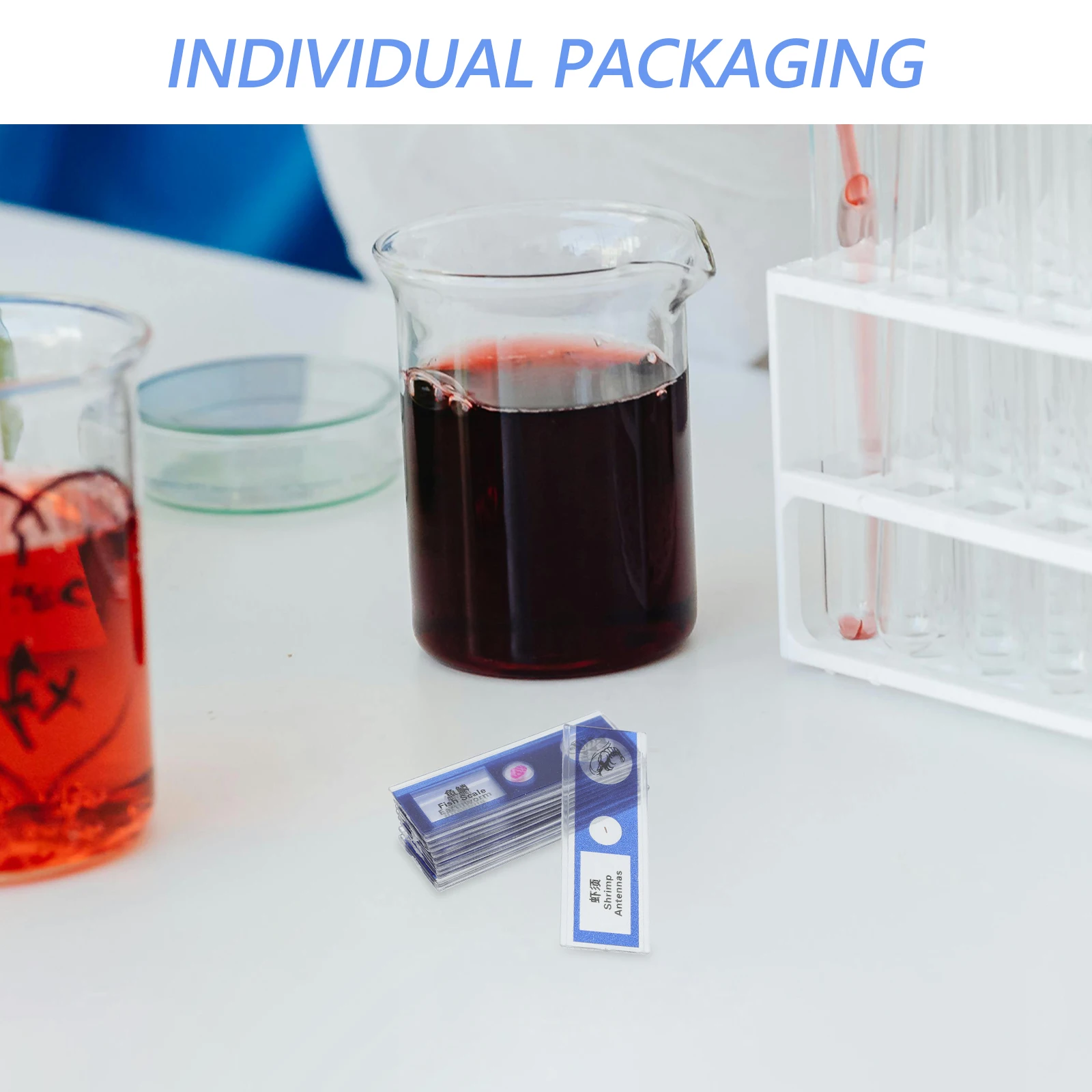 

12 Pcs Biological Sample Sections Kids Microscope Slides Insect Bug Animals Cells Samples Prepared Sampler
