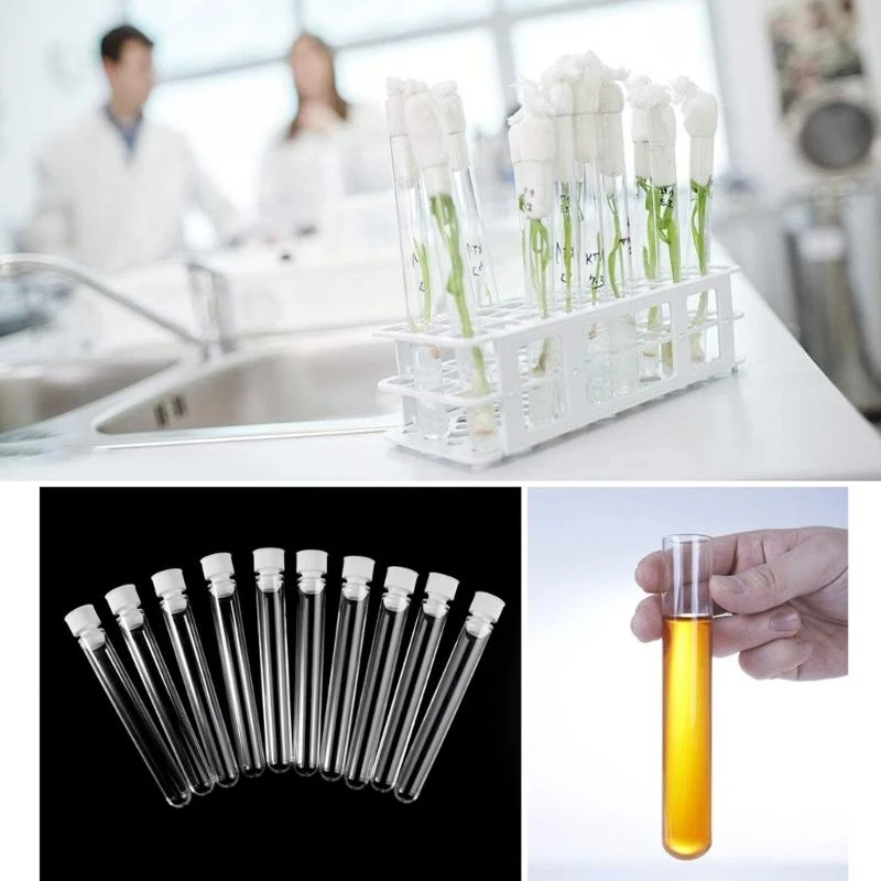 10Pcs Clear Plastic Centrifuge Tubes with Anti-leaking Cap for Teacher Students