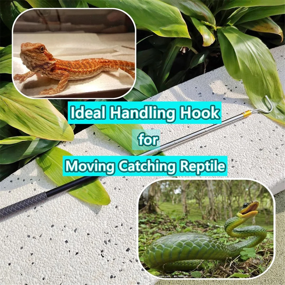 61 inch Snake Hook Reptiel Catcher Stick Pole, Snake Handling Tool Kit voor Rattlesnakes Python Copperhead Removal Catching