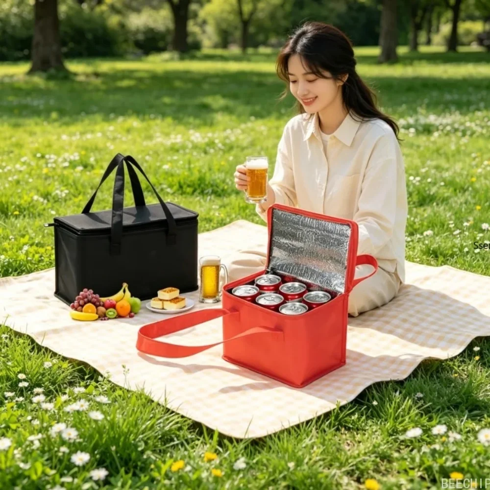 Portable Lunch Cooler Bag Fold - Food Snacks Delivery 评论和价格