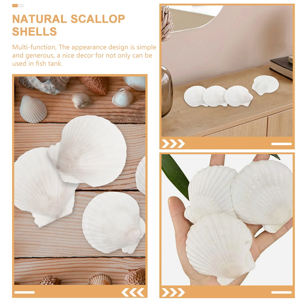 16Pcs DIY Large Scallop Shells Craft Decoration Scallops Seashell Charm Embellishments Shells for Crafts