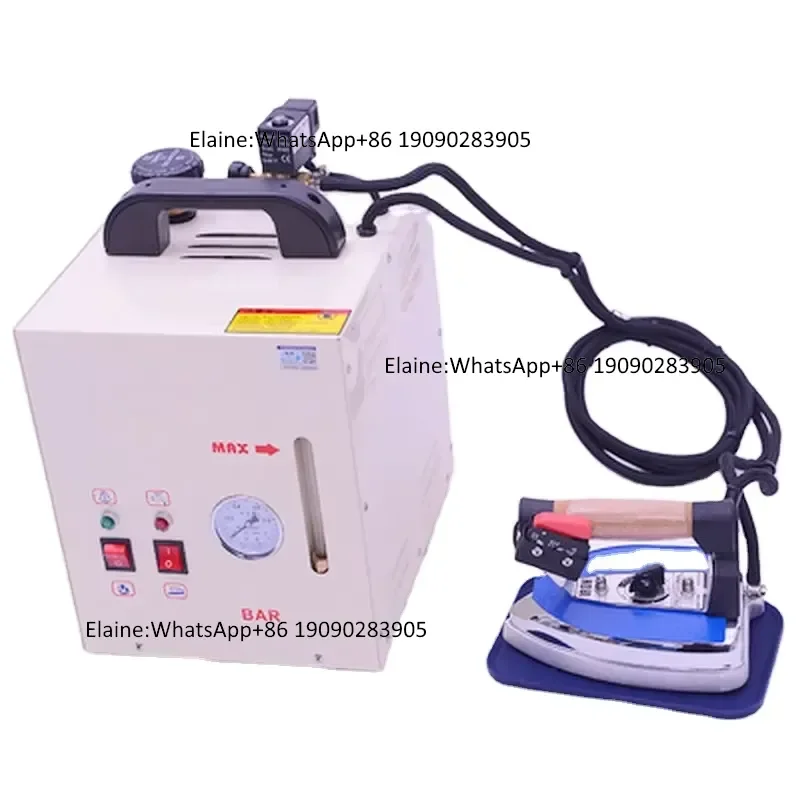 Professional Electric Industrial Small Volume Move Easily Boilers Smart Steam Boiler with Iron with 4L Water Capacity