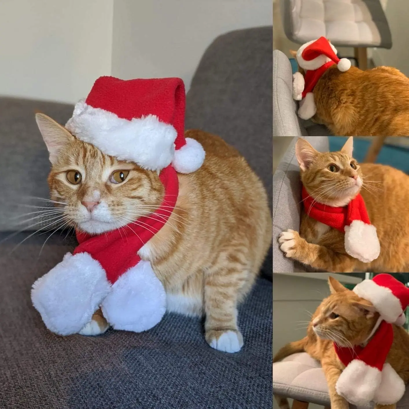 

TONG Cat Christmas Scarf Hat Cat Santa Hat Scarf Small Dog Christmas Costume Xmas Outfit Santa Claus Hat with Red Muffler