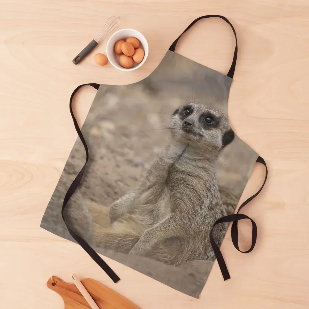 

Meerkat Apron Women Kitchen For Women Kitchen Kitchen Supplies for home useful pieces Apron