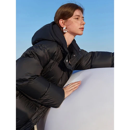 أسفل المعاطف