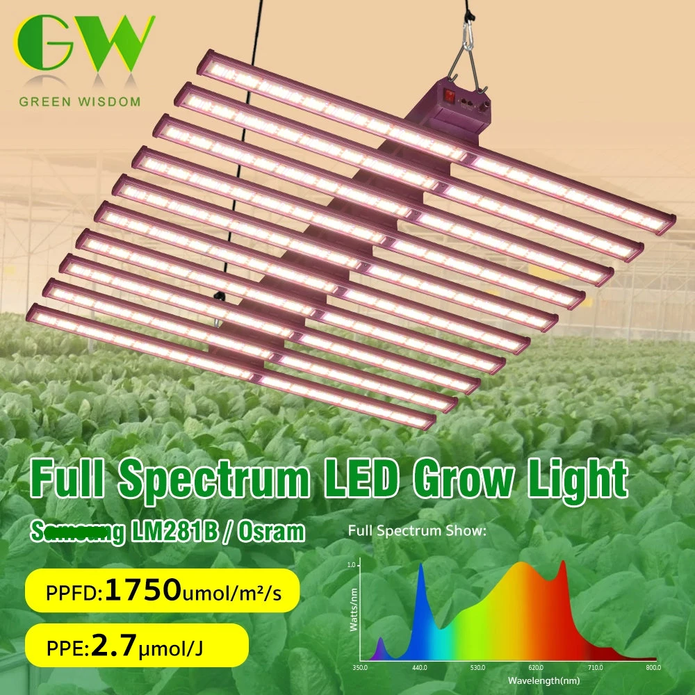 640W 800W 1000W Full Spectrum LED Grow Light with Switch UV Hydroponic Growing Lamp for Greenhouse Plants Phyto Veg Flowers