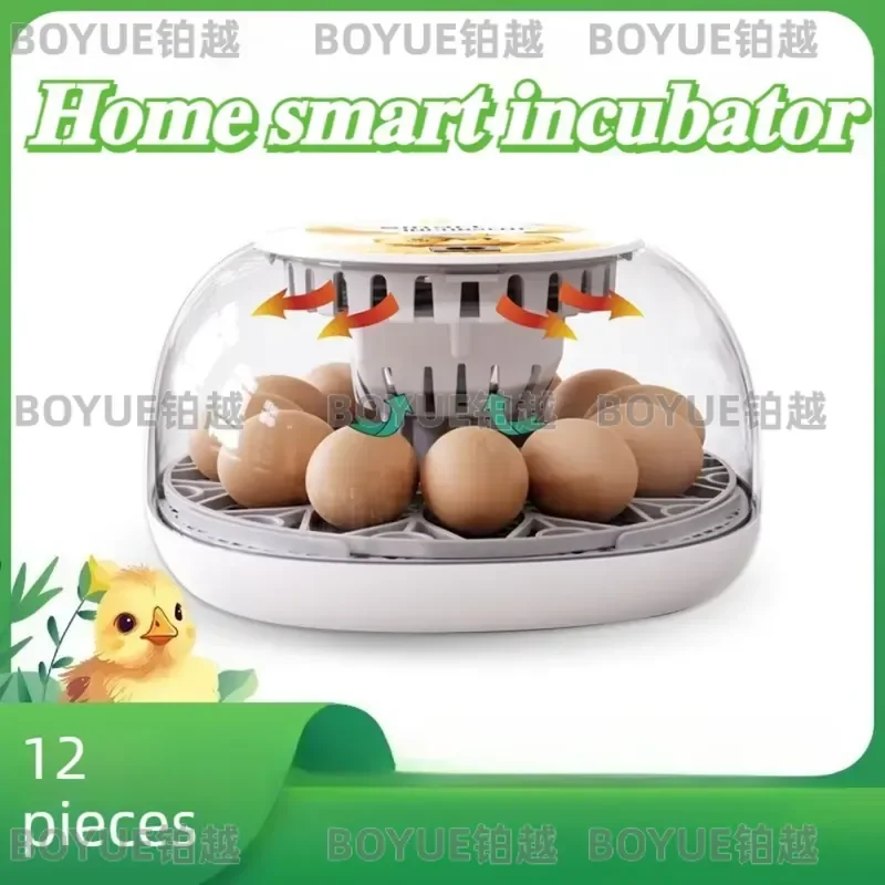 Automatic 12 Egg Incubator Transparent Mini Hatcher for Kids Science Gift Smart Poultry Brooder for Parrot Chicken Breeding