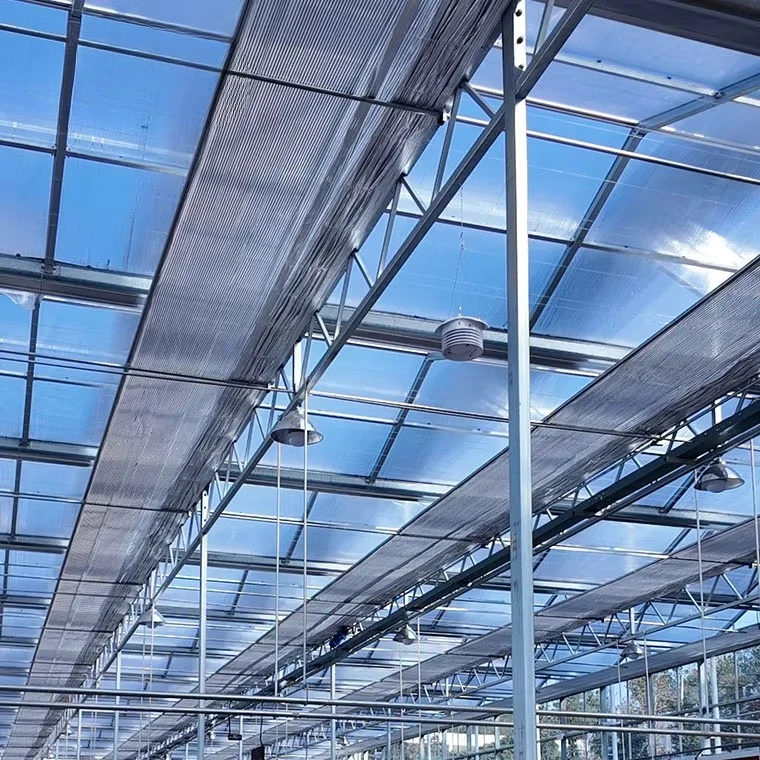 Large High Tunnel Glass Greenhouse Complete Set Kit with Shade Net Frame Structure Agricultural Tomato Growing House