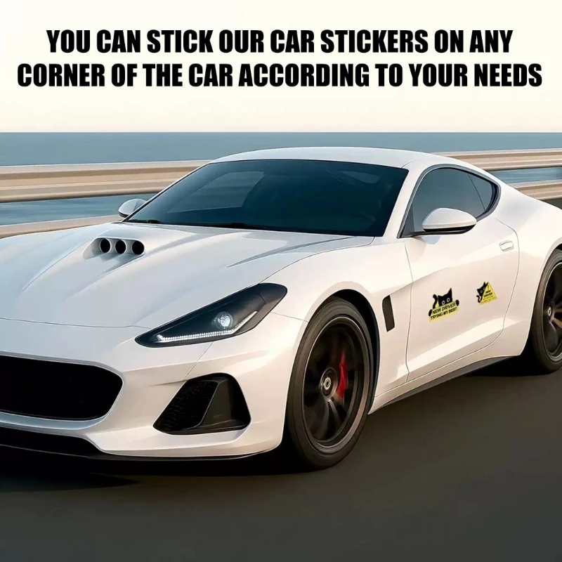 

P5ED 3 шт. Светоотражающие наклейки для транспортных средств с черными кошками для повышения безопасности ночной видимости