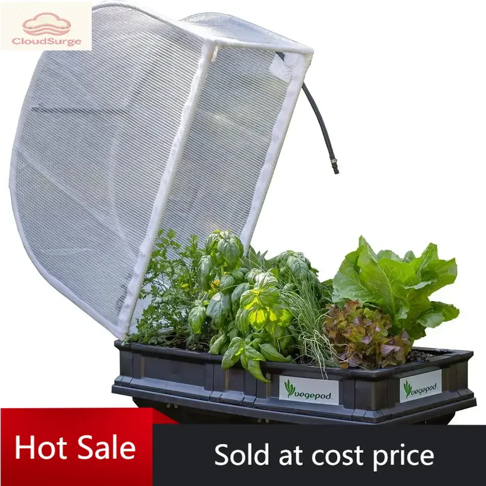 .Activity Limited-T…