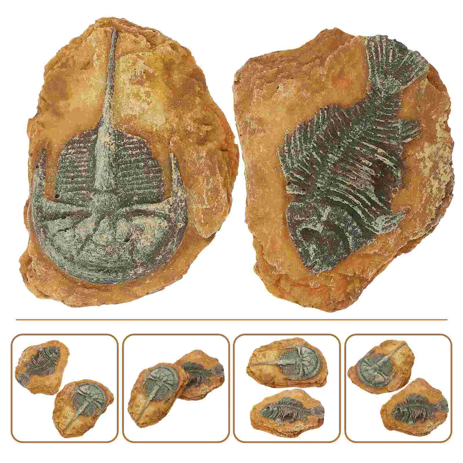 Trilobite Ornament Simulated Resin Fossil Creative Reptile Decors Gecko Tank Accessories