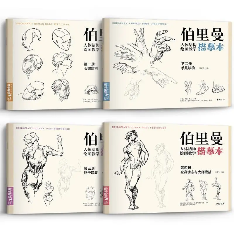 

Bridgman Human Body Structure Painting Tutorial Character Structure Drawing Sketchbook Human Head Torso Dynamic Practice Book