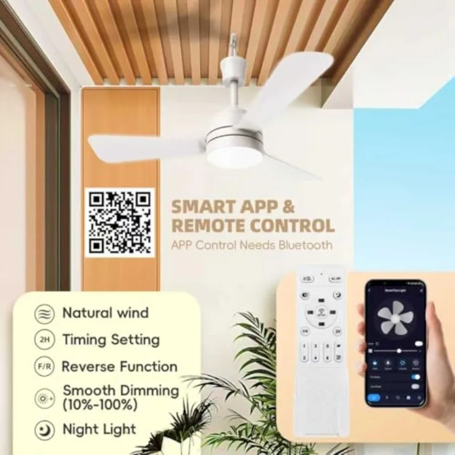 Ceiling Fans with Lights28