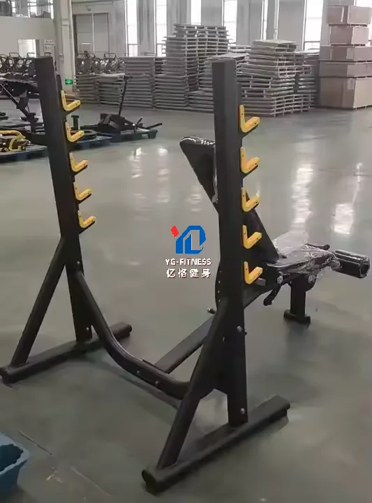 -6036 Multi Degree Bench Multi-functional Training Bench Strength Training for Club