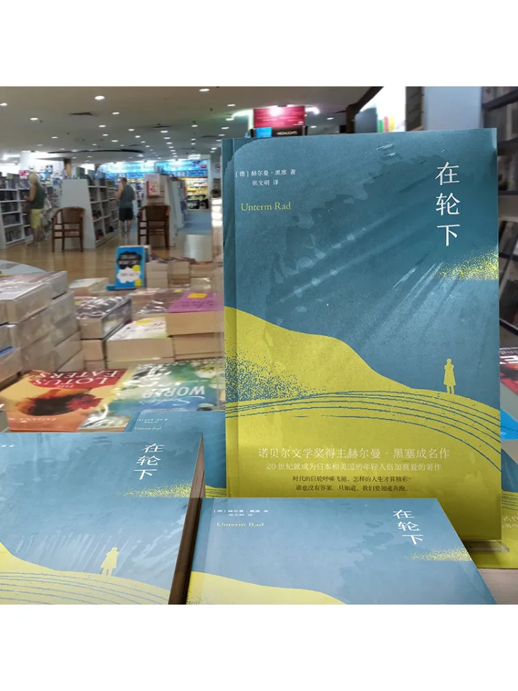 Book-Winshare Under the Wheel