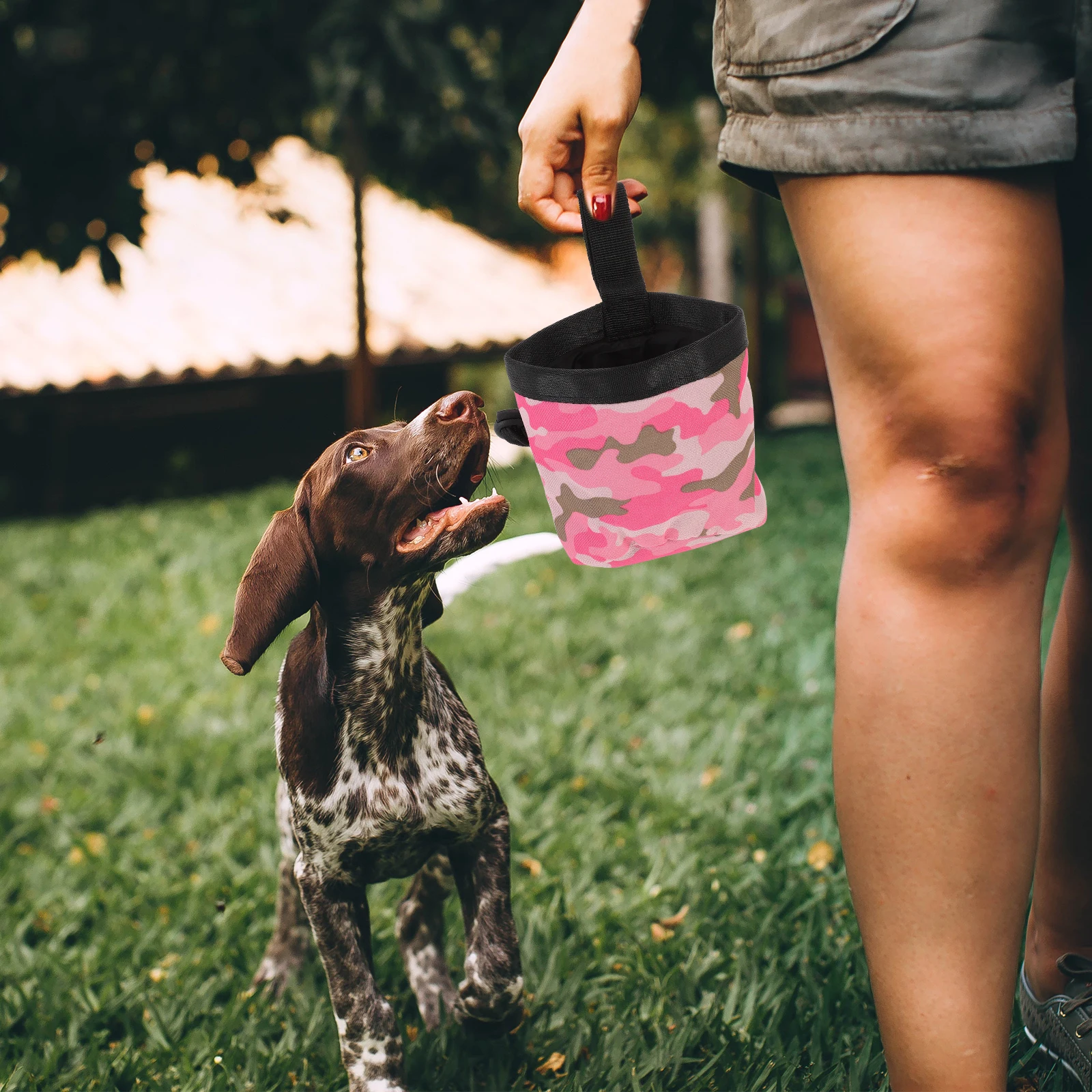 

Premium Pet Training Bag Large Capacity Oxford Cloth Treat Pouch Portable Snack Storage for Outdoor Dog Walks Puppy Training