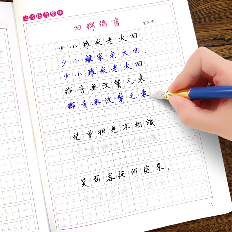 Copybook Set of 800 Commonly Used Traditional Chinese Characters Writing Practice for Zero-basic Beginners Copying and Tracing